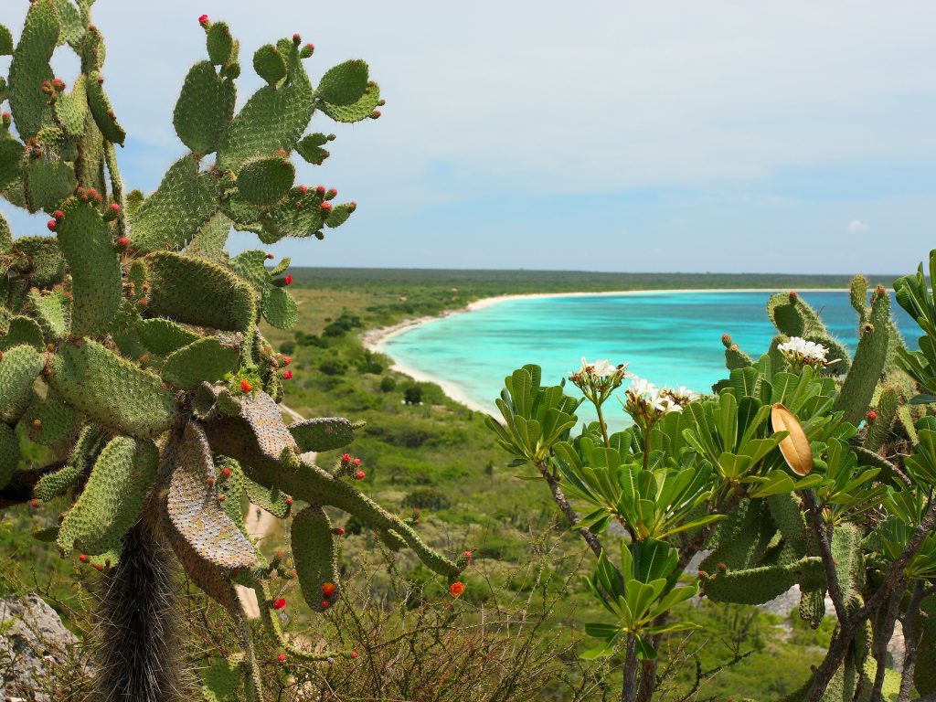 Bahia de las Aguilas