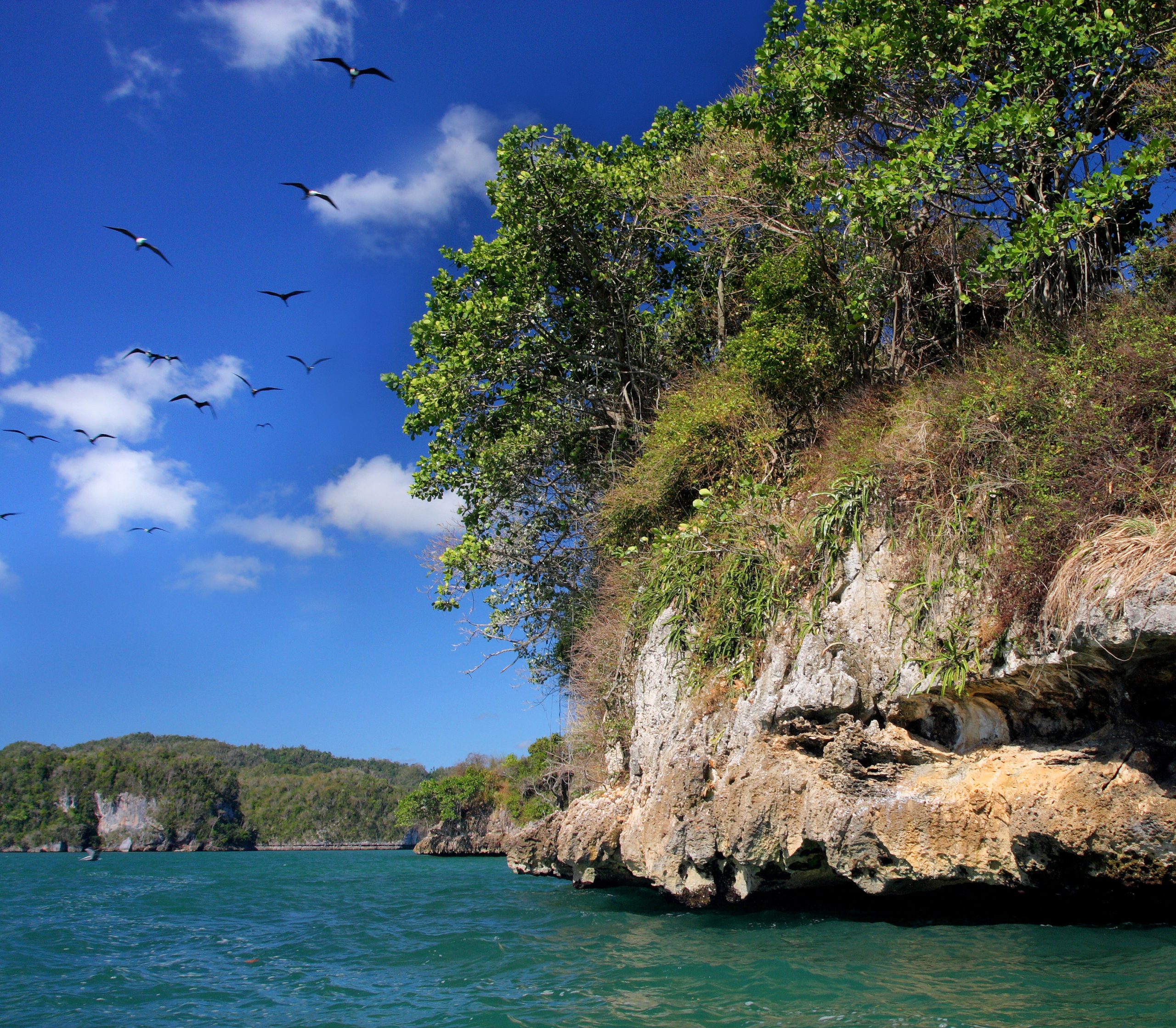 Parque Nacional Los Haitises- Miguel Landestoy