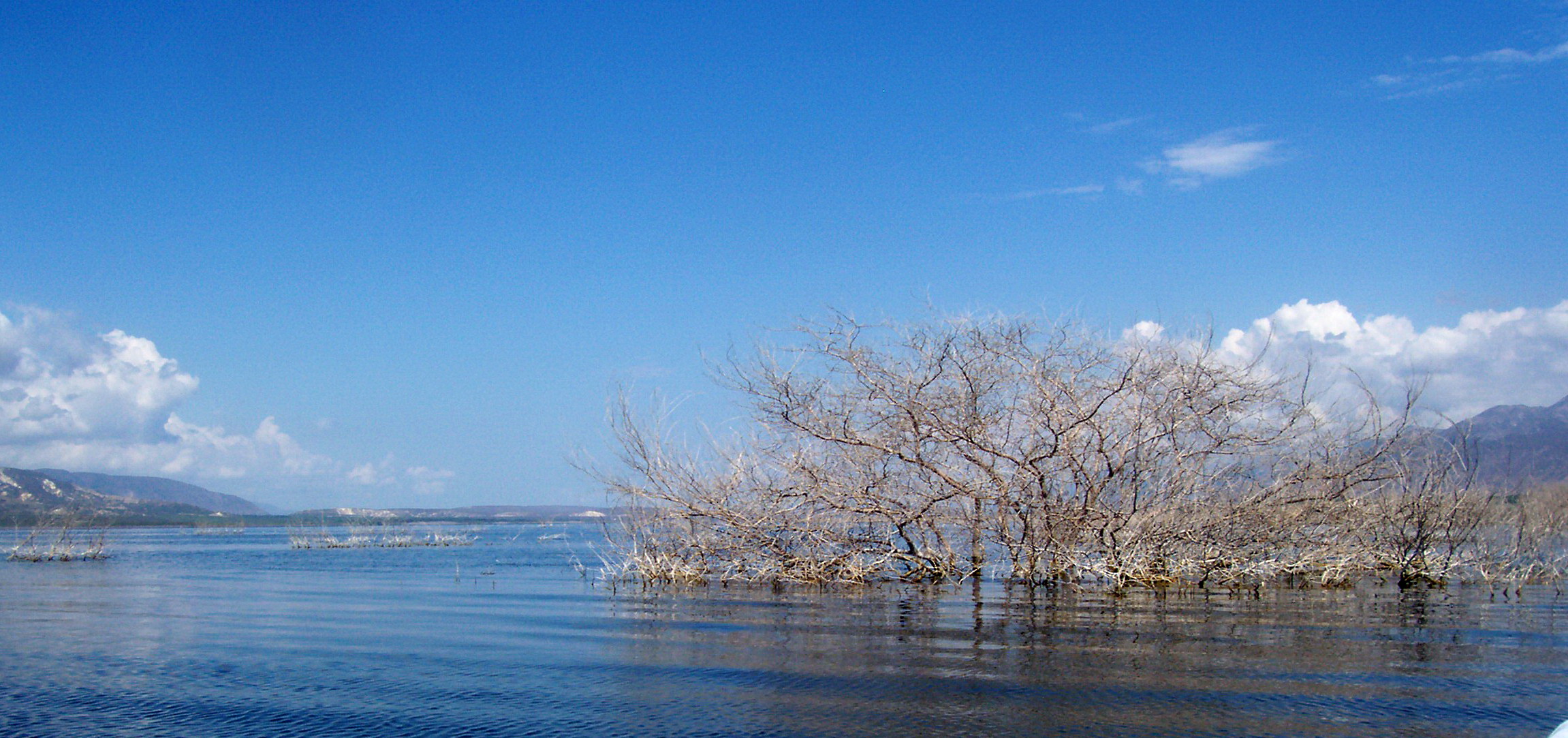 LAGO ENRIQUILLO- Tomas Montilla