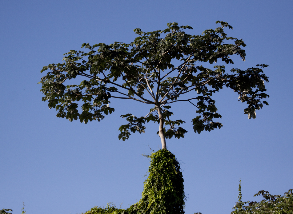 Parque Mirador del Norte_008