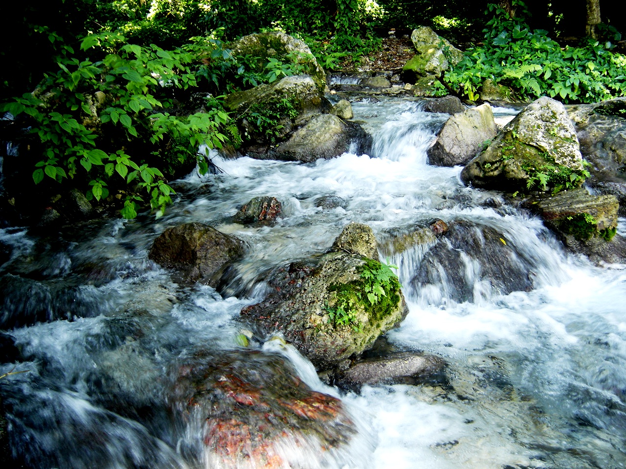 Río Sierra de Bahoruco, Sésar Rodriguez