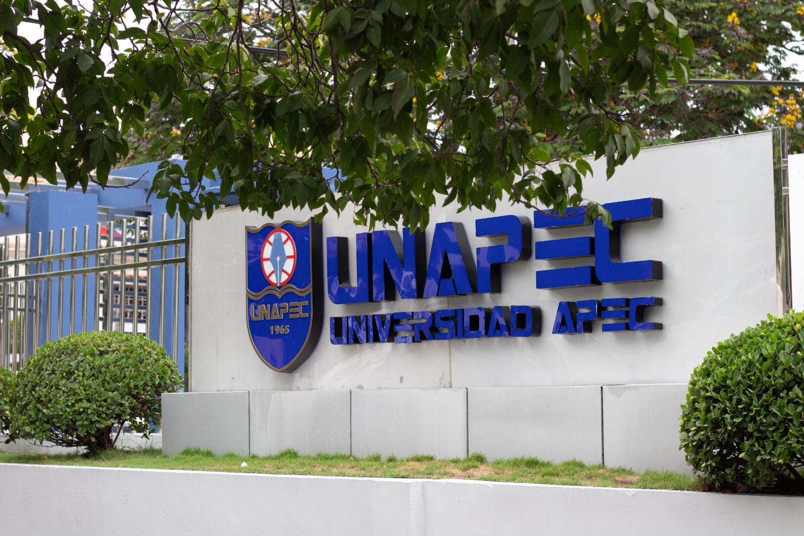 Universidad APEC